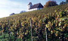 kirche2.jpg (7447 Byte)